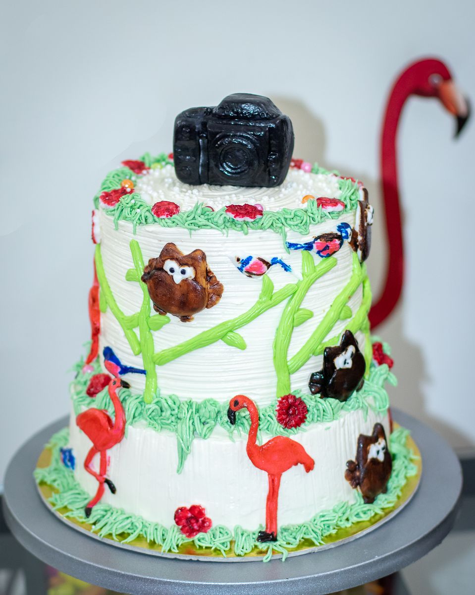 Creamy Delight Cake Creation