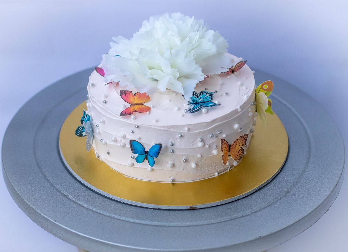 Creamy Delight Cake Creation