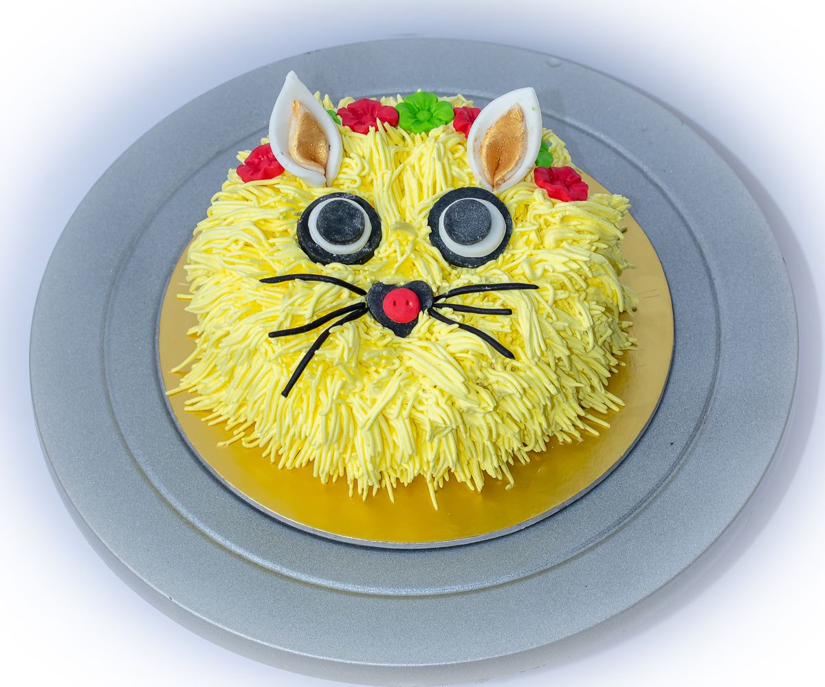 Creamy Delight Cake Creation