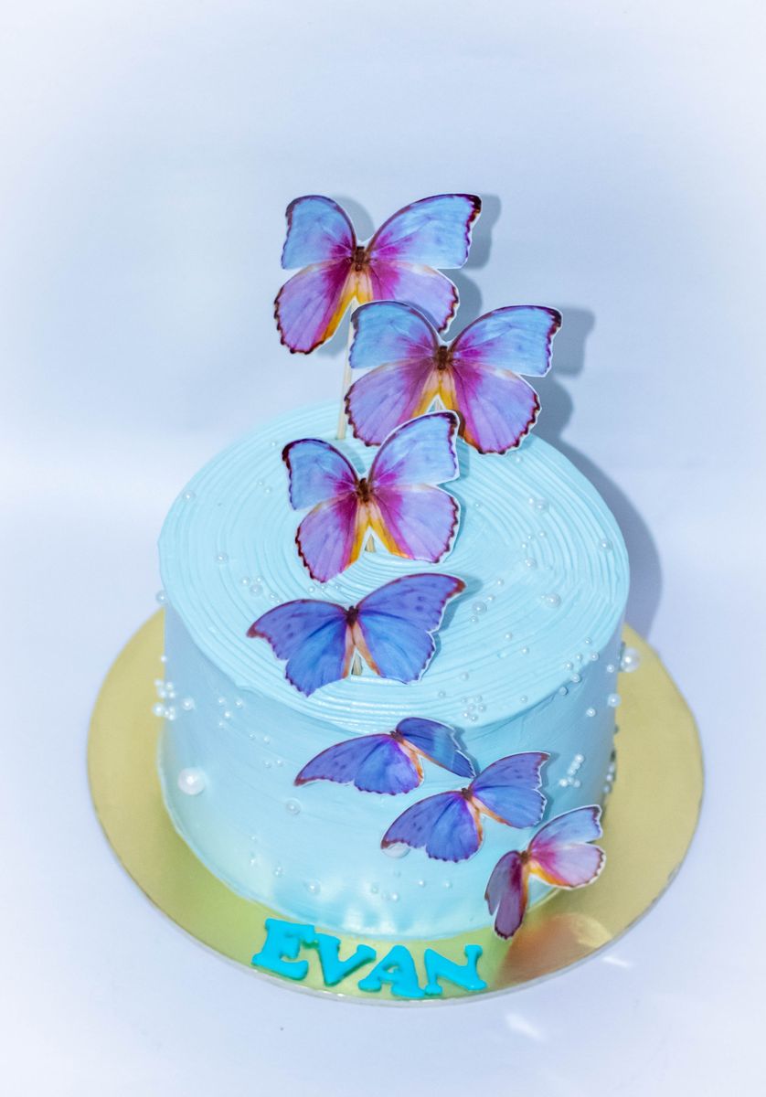 Creamy Delight Cake Creation