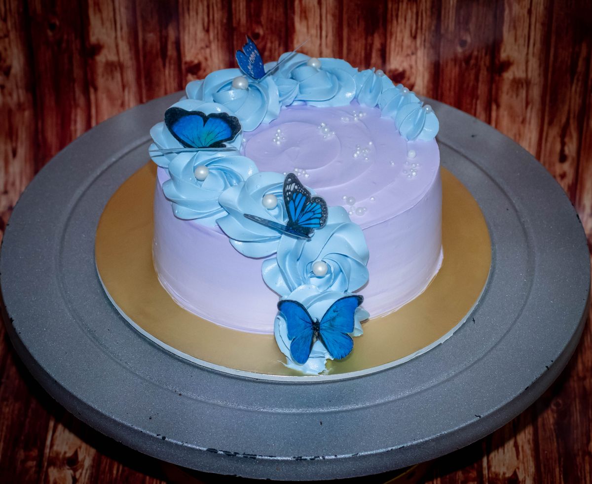 Creamy Delight Cake Creation